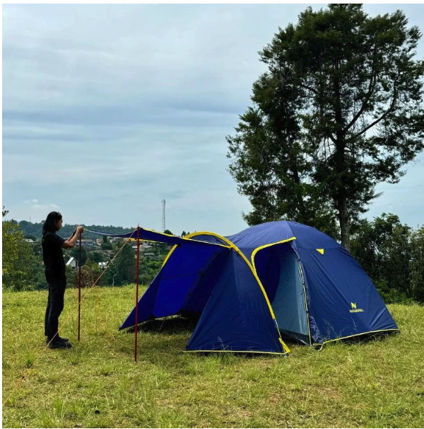 WILDSHELL WILDSHELL Mandala 6 Pro