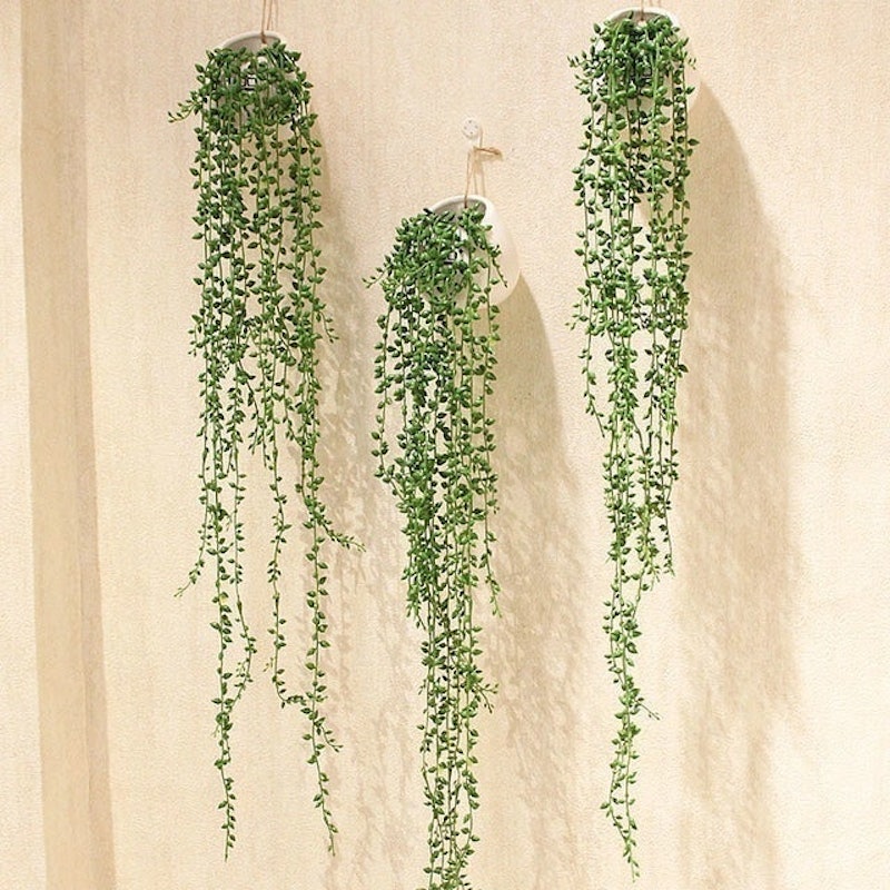 Daun Rambat Plastik Aglonema 5
