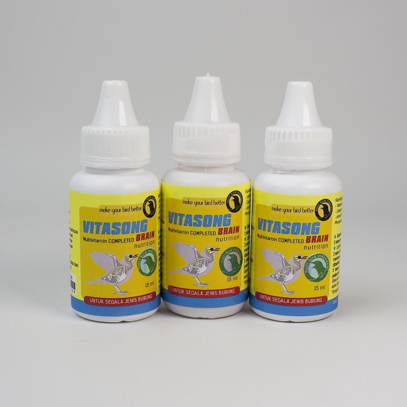 Vitasong Brain 4