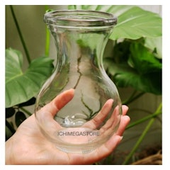 Trumpet Glass Flower Vase 15 cm