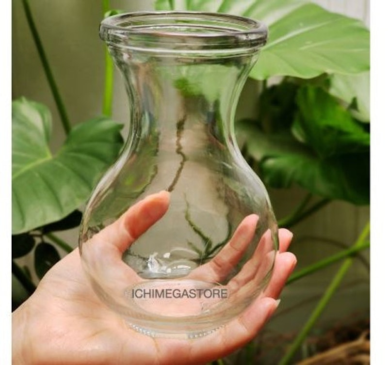 Trumpet Glass Flower Vase 15 cm 1
