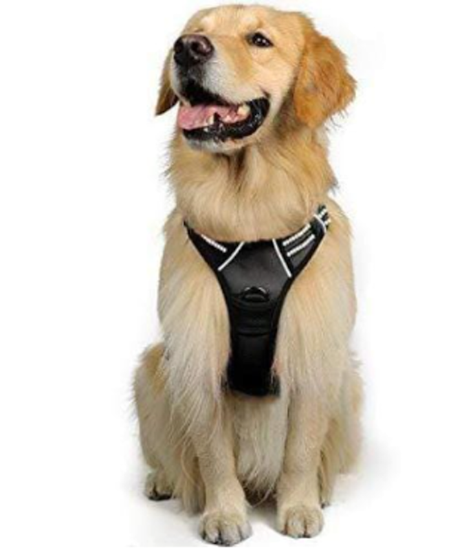 No Pull Dog Harness with 2 Leash Clips