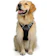 Rabbitgoo No Pull Dog Harness with 2 Leash Clips 1