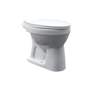 Volk Clematis  ｜ C509