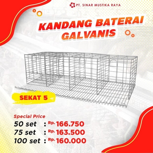 Sinar Mustika Kandang Ayam Petelur Layer Kawat Baterai Galvanis