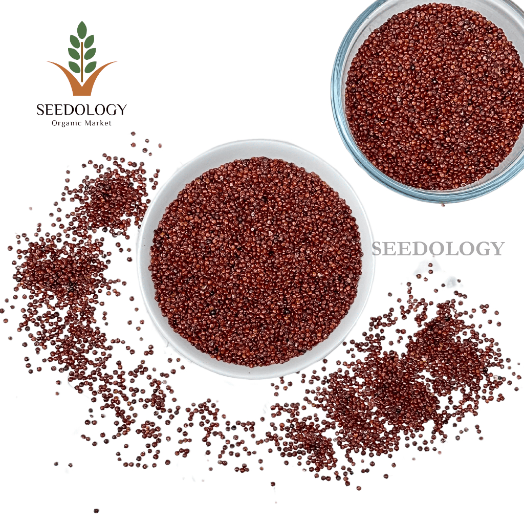 Seedology Organic Red Quinoa