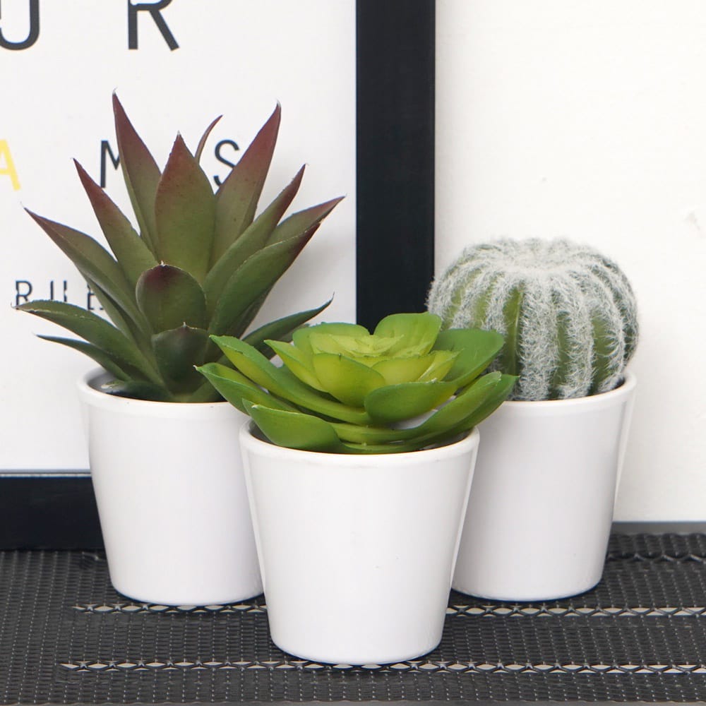 Informa Tanaman Artifisial 7x7x15 Cm Set 3 Pcs Kaktus Y12