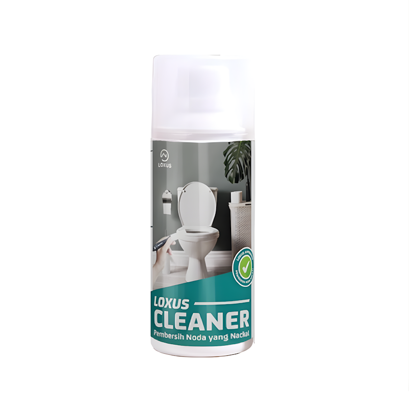 Cleaner 1