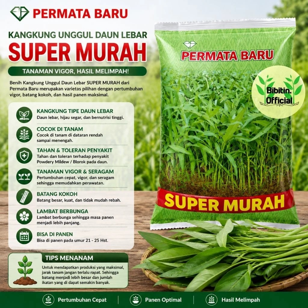 Permata Baru Benih Kangkung Super Murah