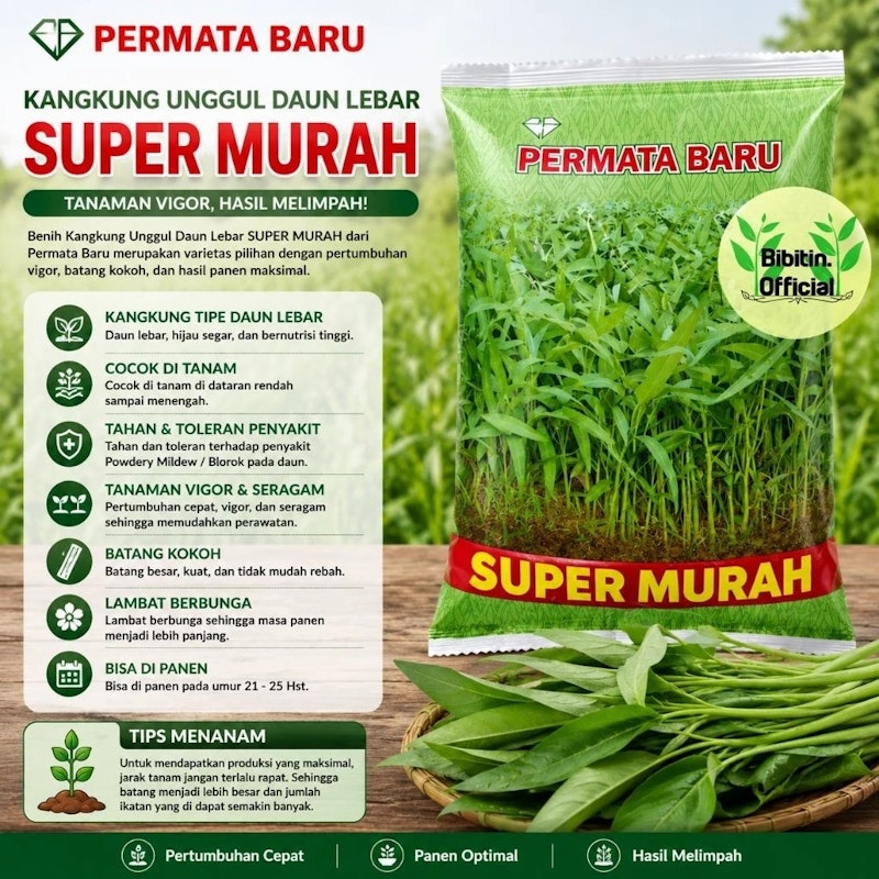Permata Baru Benih Kangkung Super Murah 4