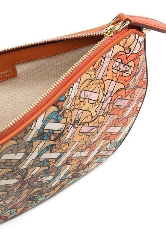 Burberry TB Monogram Hobo Bag in Multicolor 3