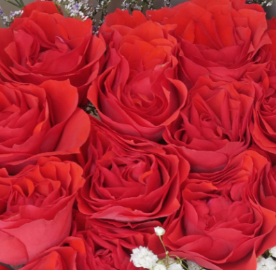 Classic Midnight Hand Bouquet - Fiery Red 2