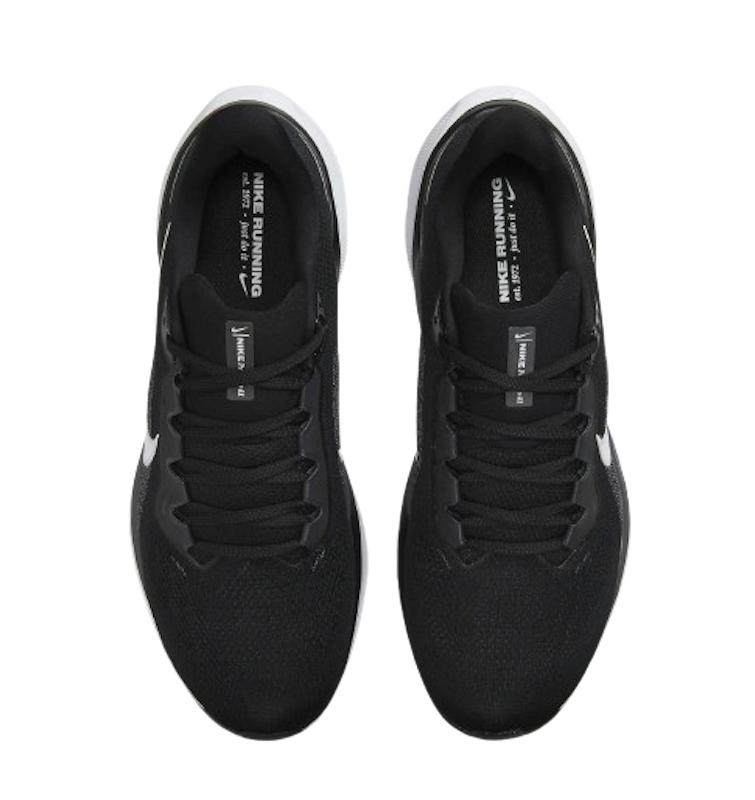 Nike Pegasus 41 3