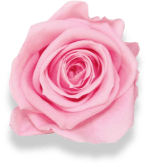 Vitalis Eau De Naturel Egyptian Jasmine & Turkish Rose 4
