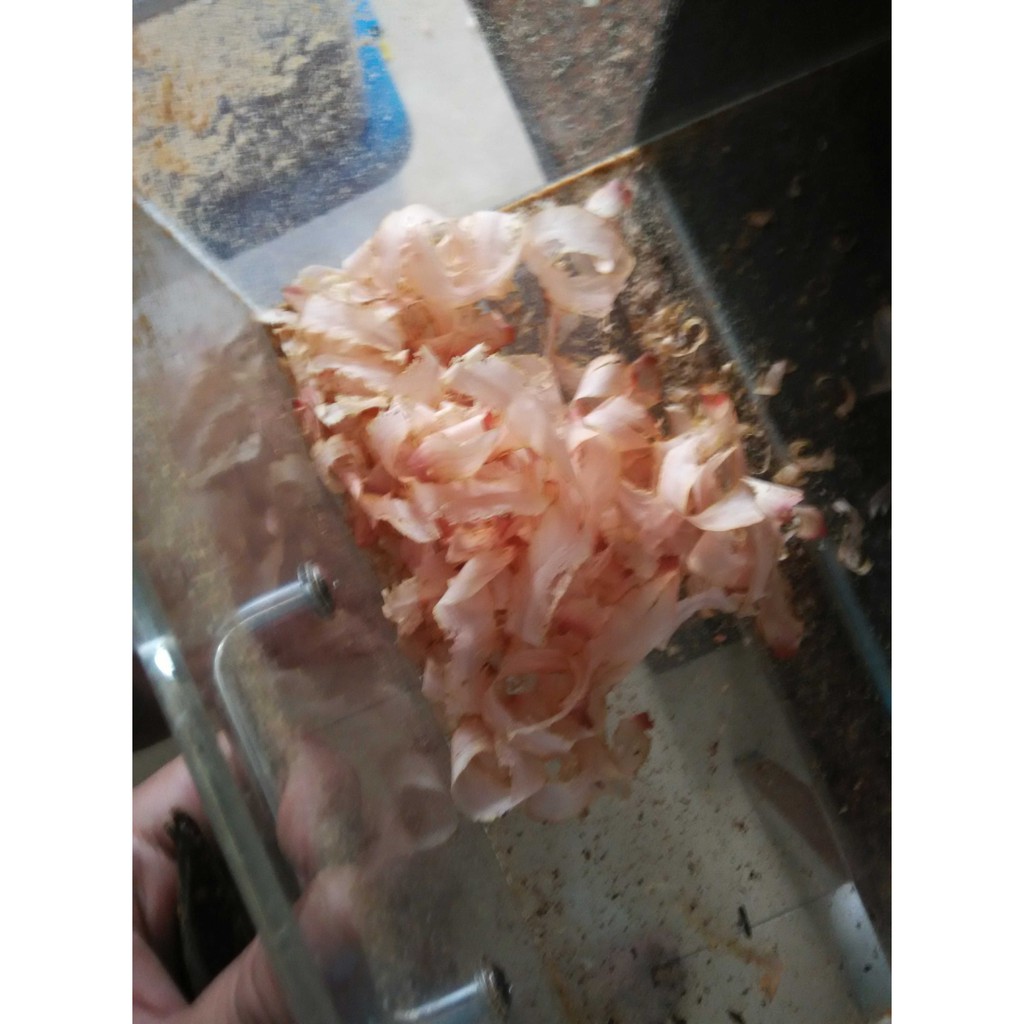 Lucky Takoyaki Katsuobushi Grade A 