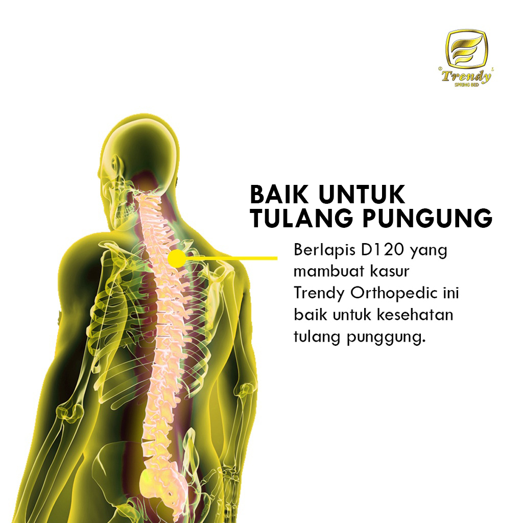 Gerongan Surajaya Trendy® Orthopedic Therapy Mattress