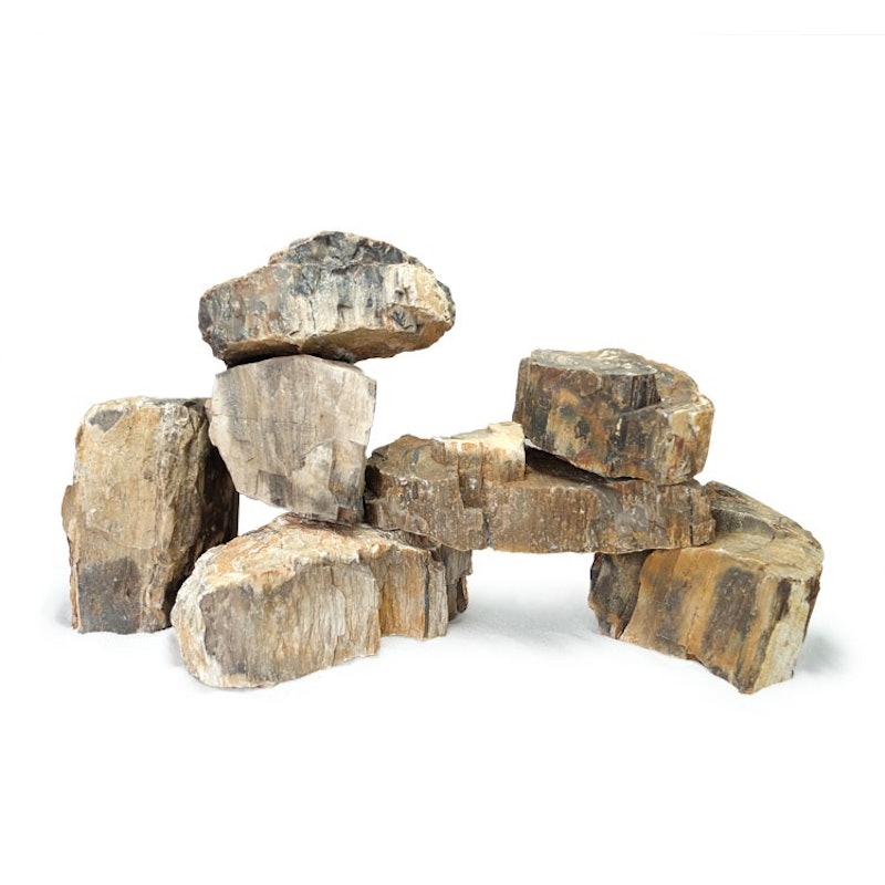 Batu Fosil Kayu 2