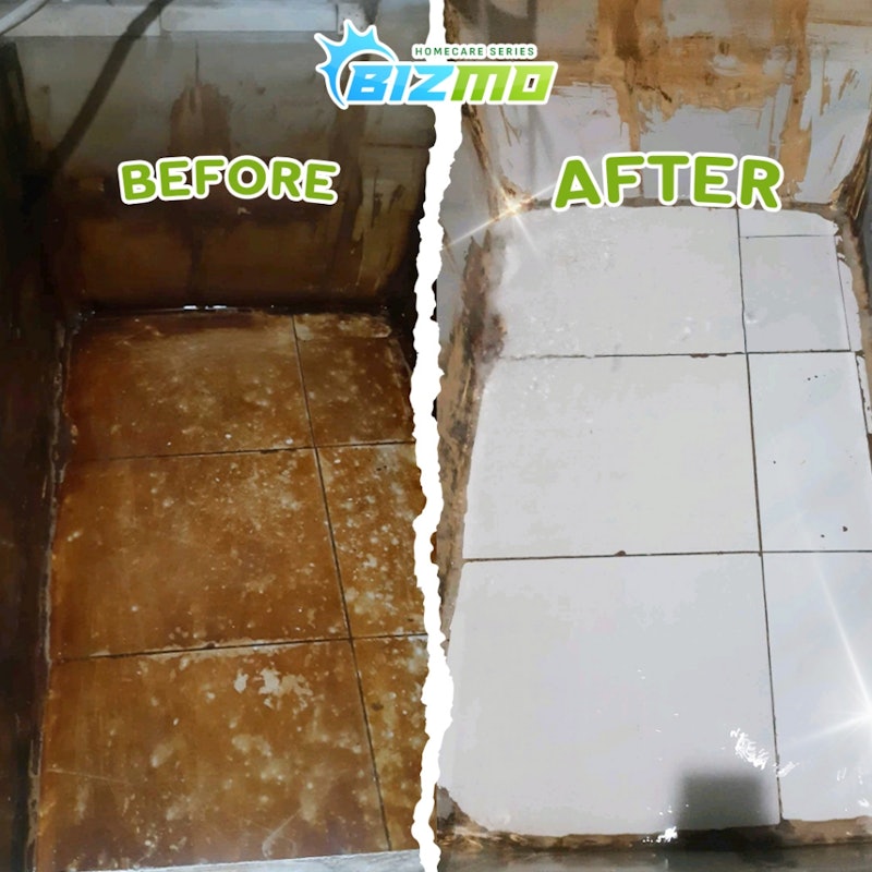 BIZMO Toilet Cleaner 4