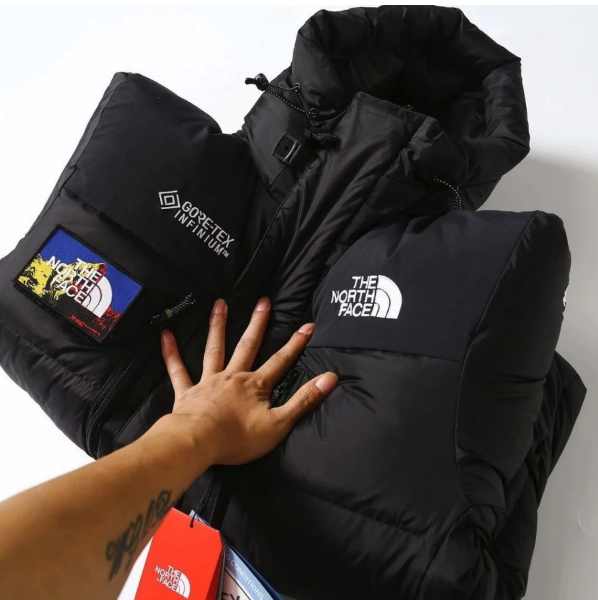 The North Face 7 Summits Himalayan Down Parka GTX 2