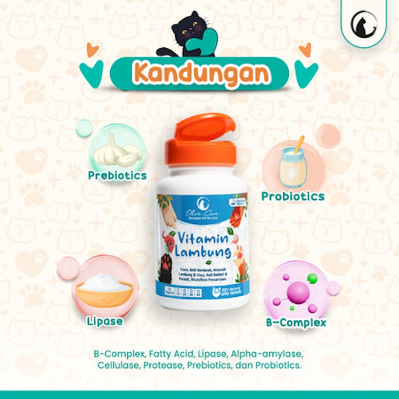Olive Care Vitamin Lambung 4