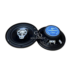 PEGASUS Speaker Coaxial 3-Way