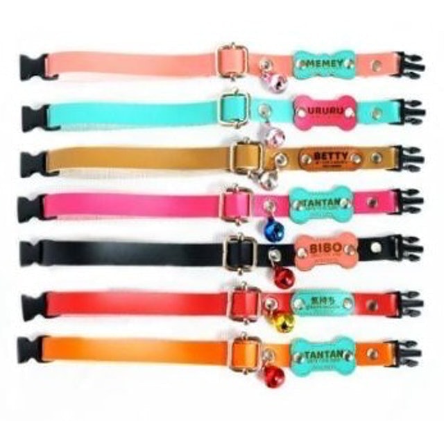  Pet Tag Collar Set Custom