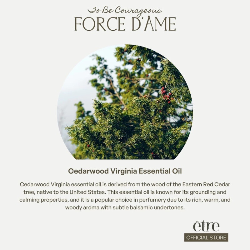 Être Parfums Force d'Âme 4