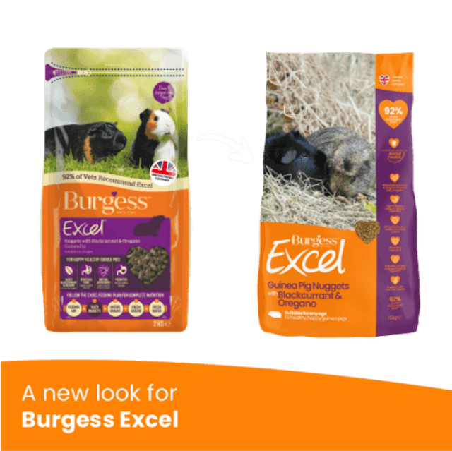 Burgess Excel Guinea Pig Nuggets with Blackcurrant & Oregano