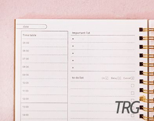 TRG Kraft Cover Spiral Daily Planner Notebook