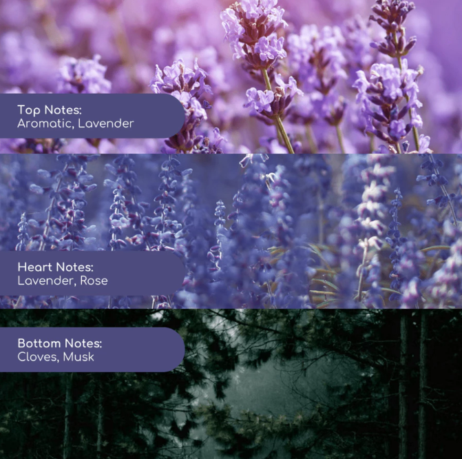 Mari Sini Bermimpi Maiimi Midnight Lavender Bath Bomb Only