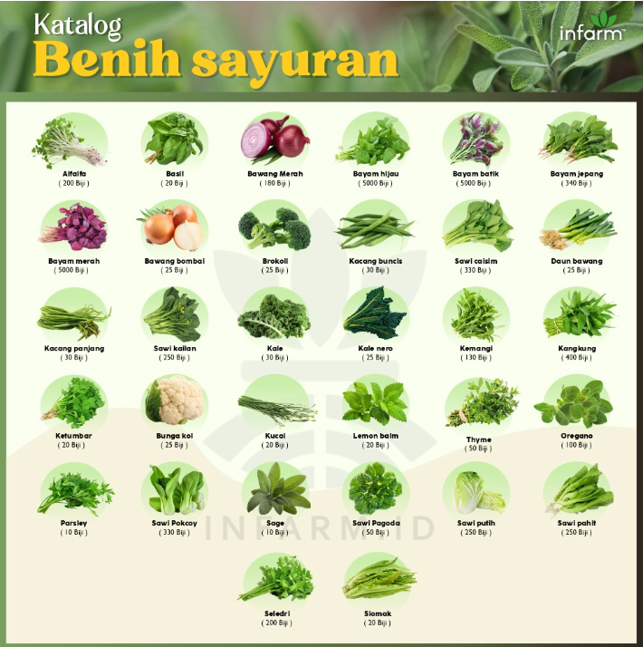 Paket Hidroponik 12 Lubang Premium Starter Kit 3