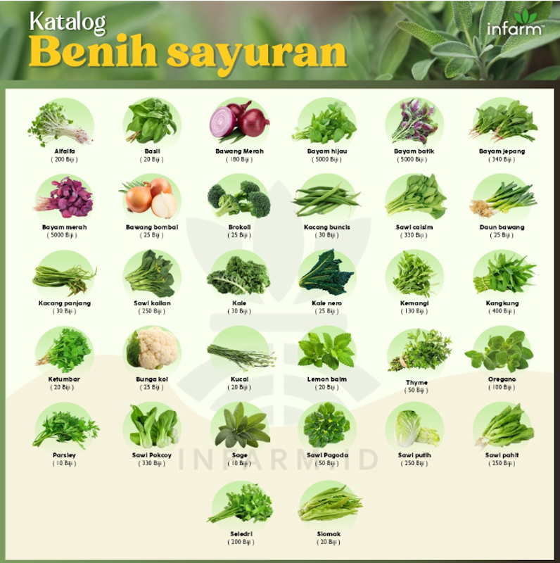 Paket Hidroponik 12 Lubang Premium Starter Kit 3