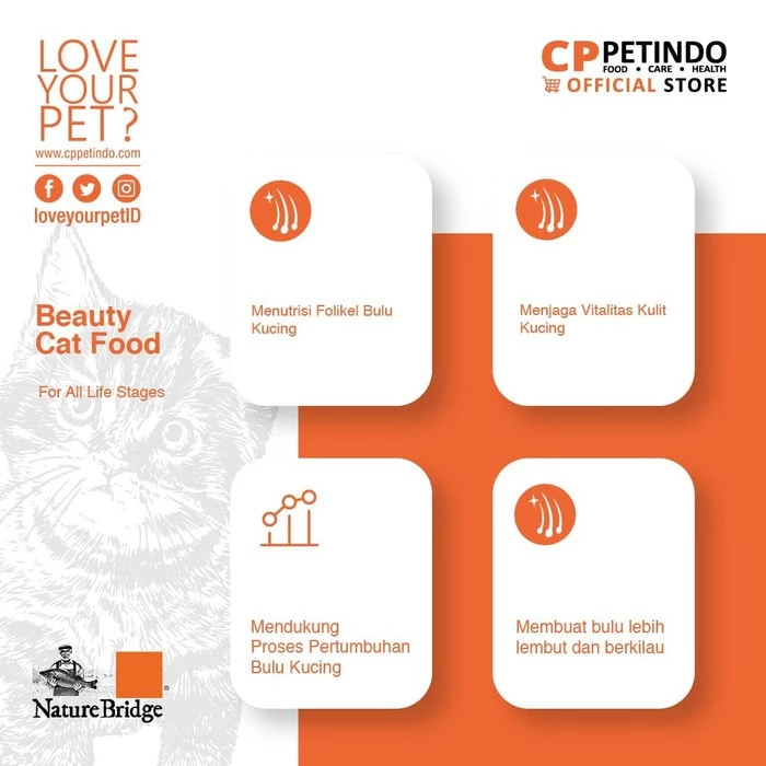 Nature Bridge Classic Beauty Complete Cat Food All Life Stages 3