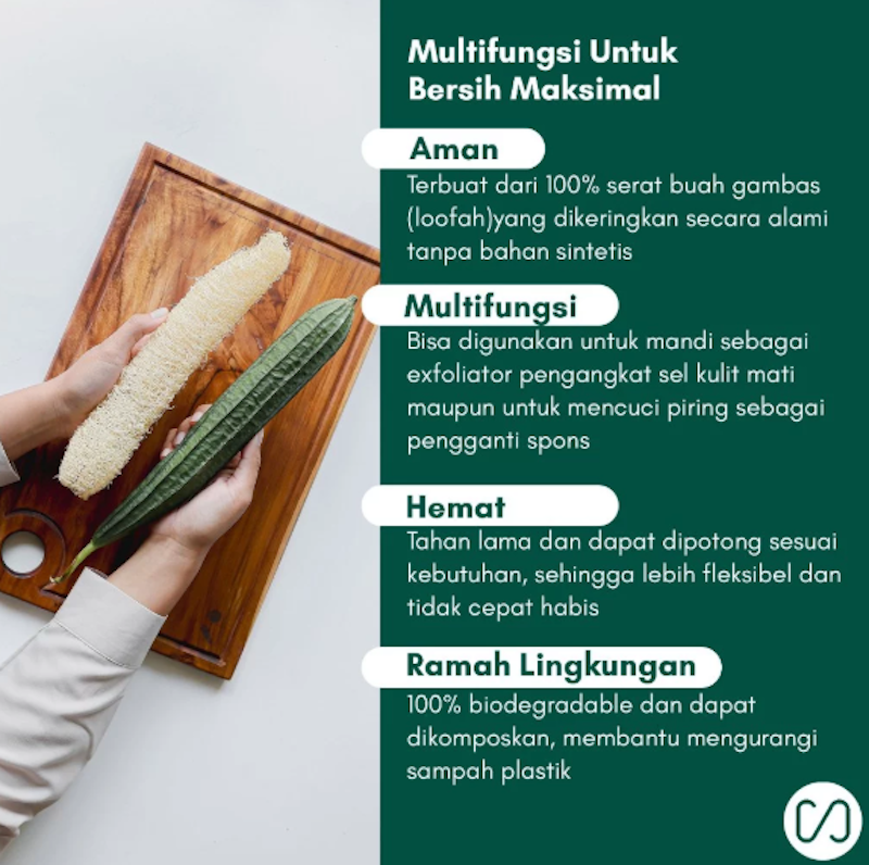Sustaination Loofah Sponge 4