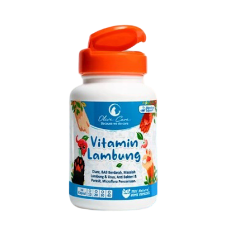 Olive Care Vitamin Lambung 1