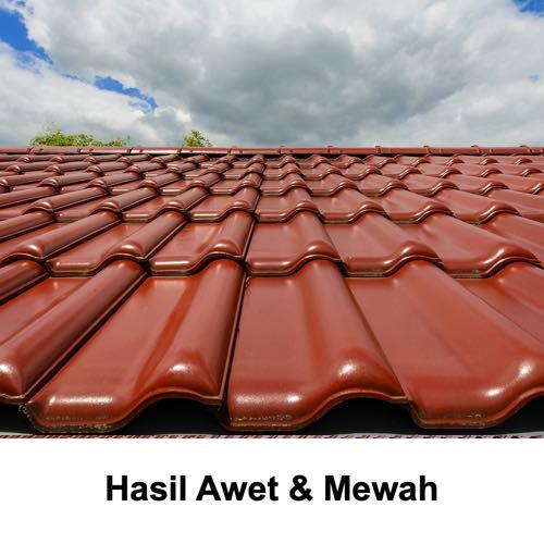 Boxer Paint Pujaroof Water Based Roof Paint 3