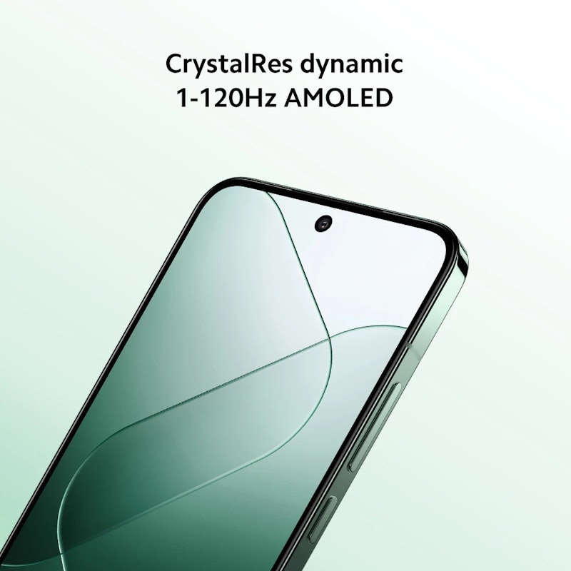 14 (12/256 GB) 5
