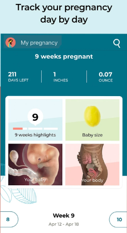 Pregnancy Tracker 5