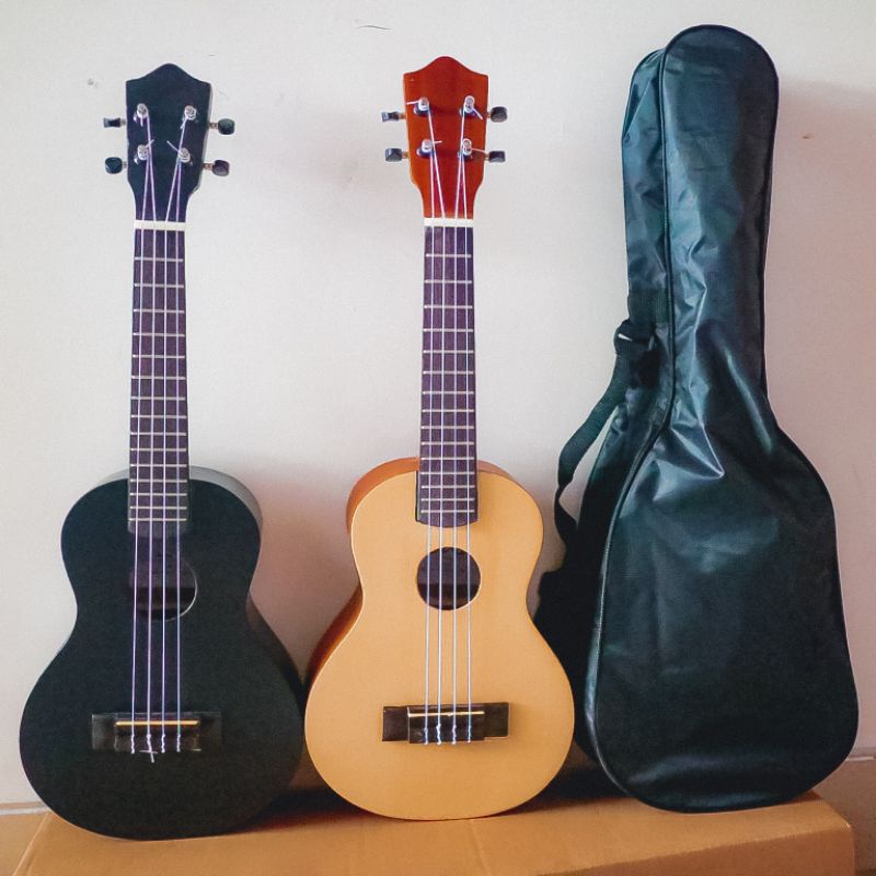 Ukulele Concert 5
