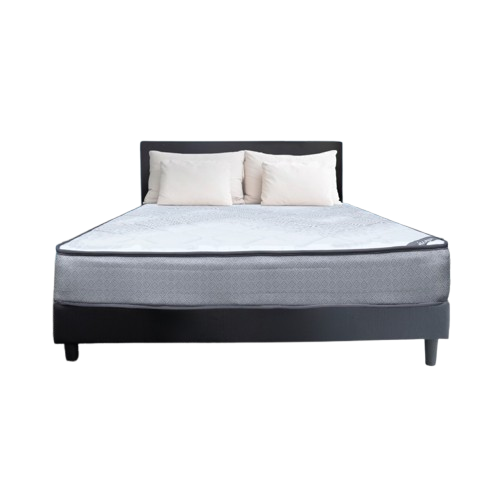 In The Box® Alpha X