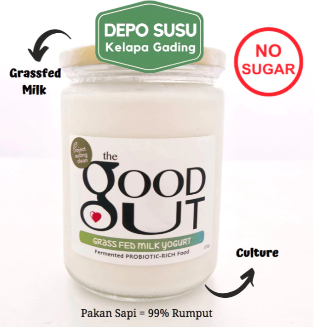 The Good Gut The Good Gut Greek 