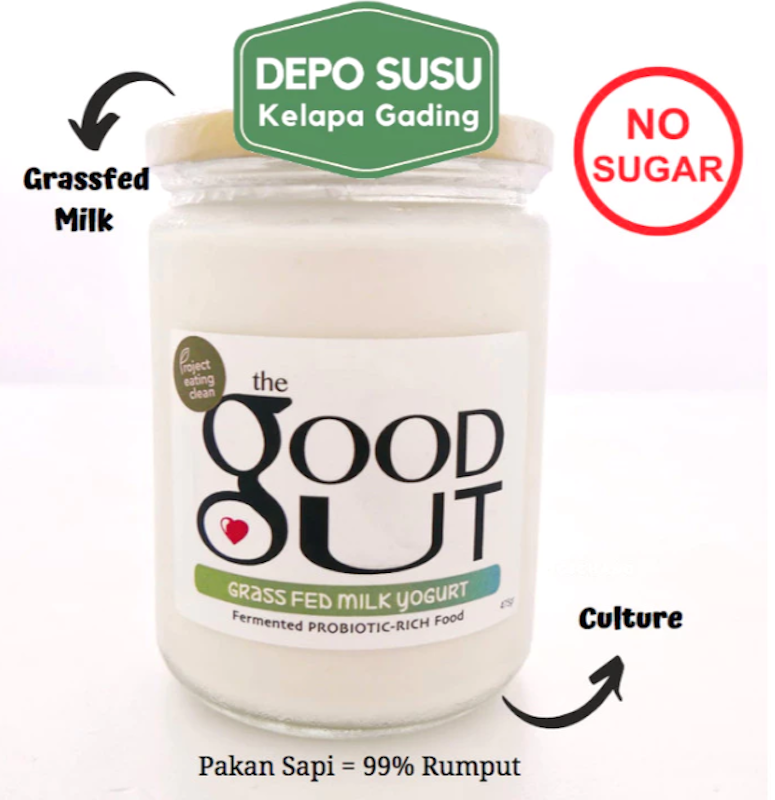 The Good Gut Grass Fed Milk Yogurt 2