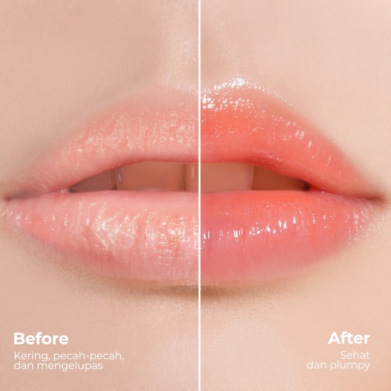 ELFORMULA Cerahydro Barrier Lip Treatment 3