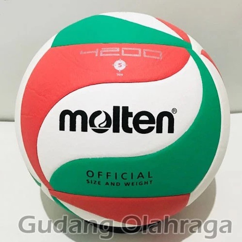 Molten Bola Voli Approved by FIVB 4200