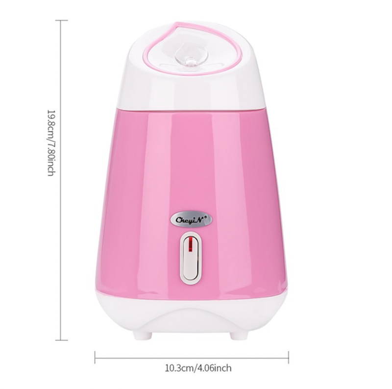Face Steamer 3