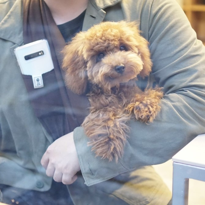 The Sack The Sling Chapter 1