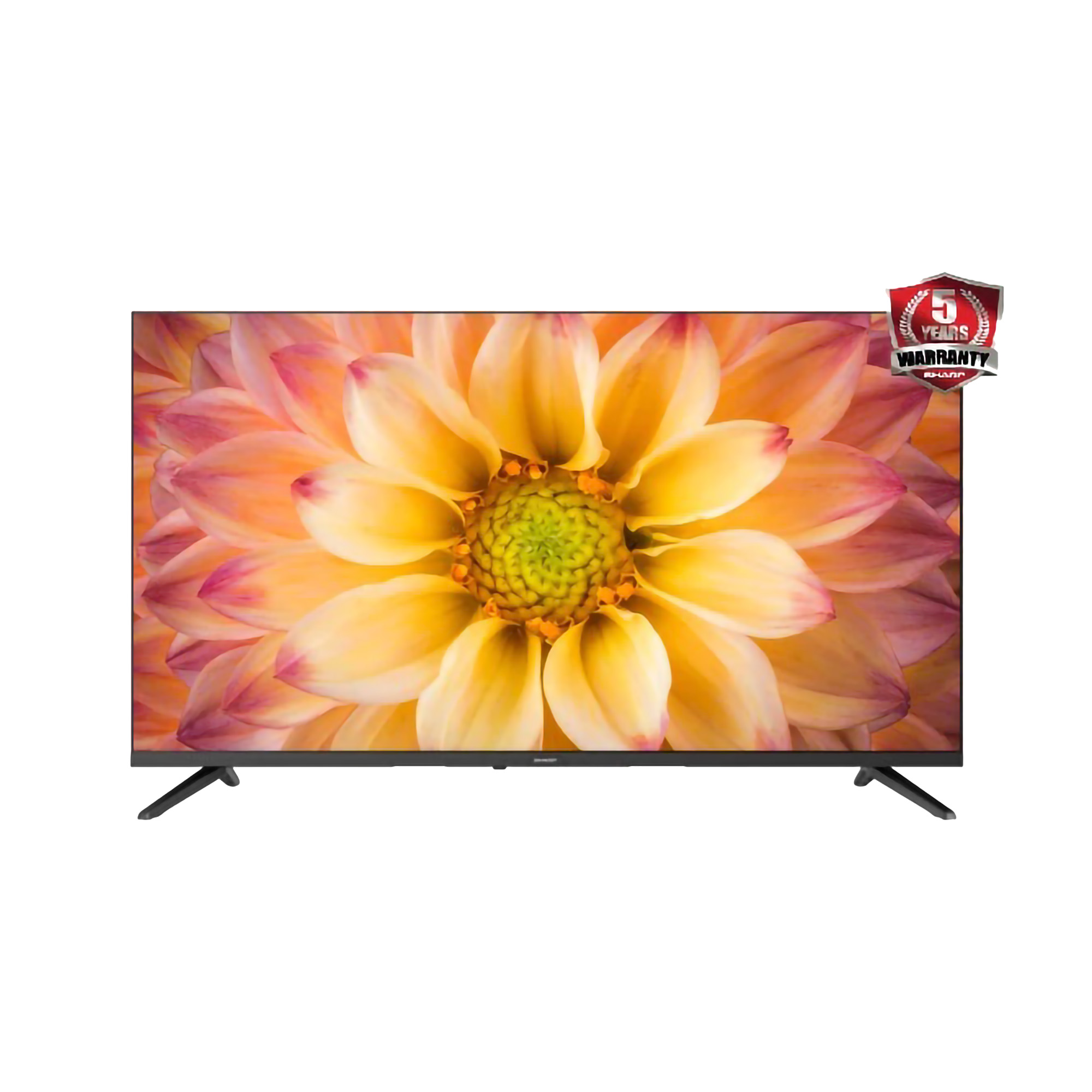 SHARP ｜ 2K Google TV 43 inch ｜ 2T-C43GH3000i