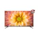 SHARP Electronics 2K Google TV 43 inch 1