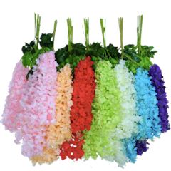 Wisteria Jumbo Daun Rambat
