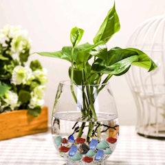 Akuarium Mini Bulat 475ml